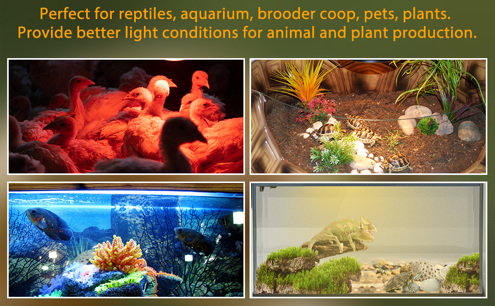 DoRight E27 Reptile Heat Lamp Holder with 2X 25W UVA UVB Heat Spotlight