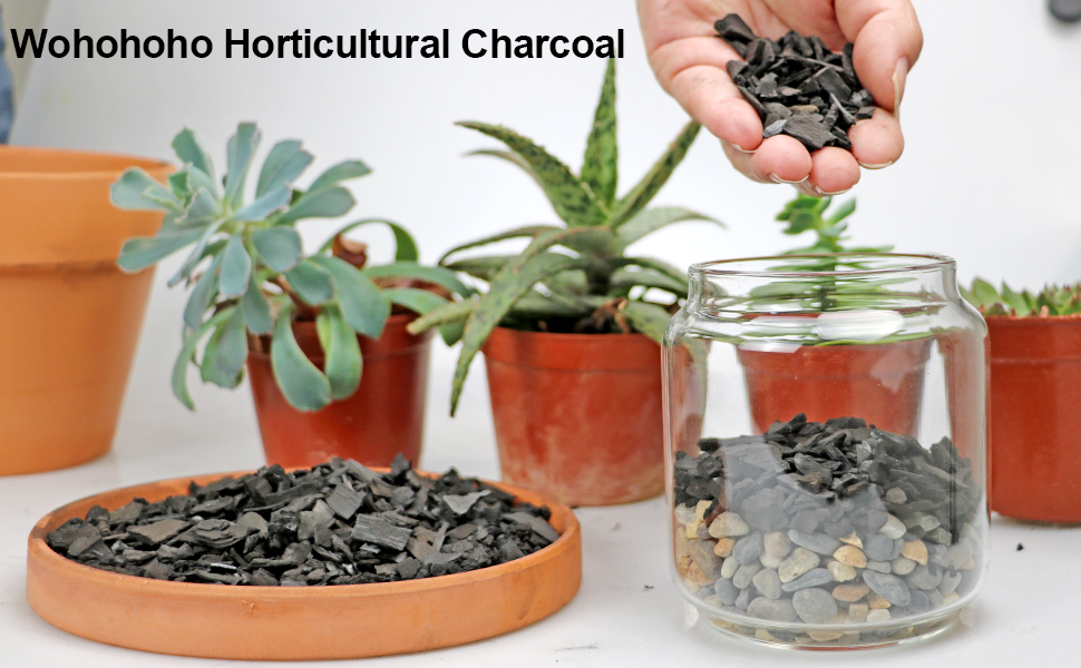 Organic Horticultural Charcoal, 100 All Natural Hardwood Charcoal, Activated Plant