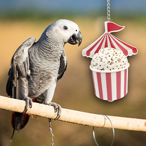 1595 Sola Circus Cup MM Bird Toys natural wood cockatiel lovebird parrotlet senegal caique quaker