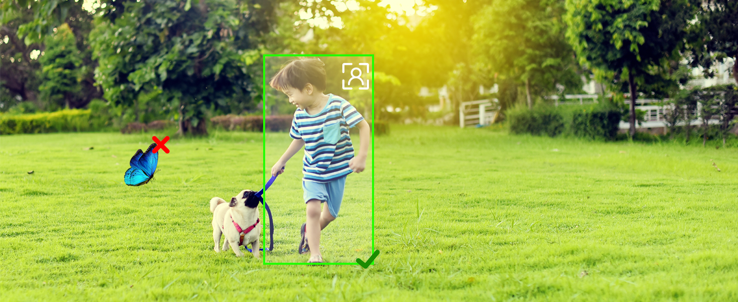 AI motion detection