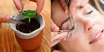 Small manufacture image 7