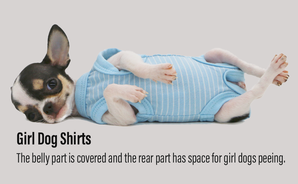 dog female shirts
