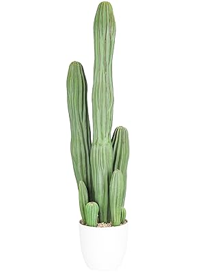 Amazon｜人工観葉植物 サボテン フェイクグリーン 78CM 造花