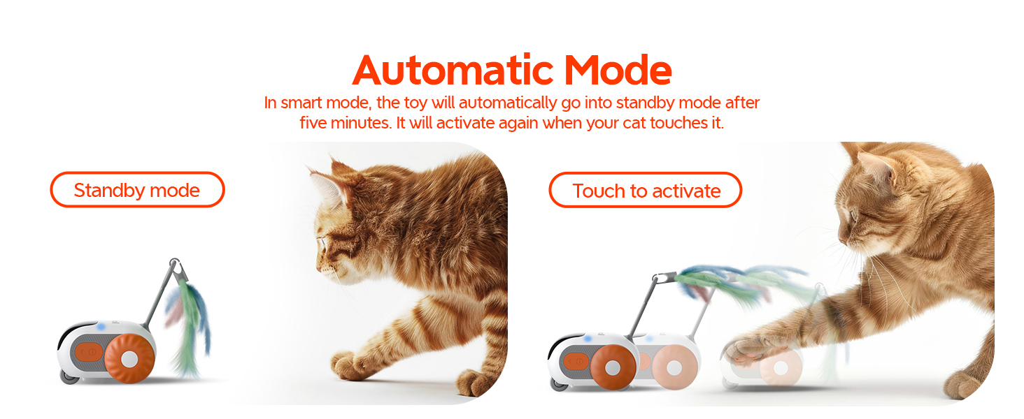 Interaktives Katzenspielzeug mit Automatikmodus. Orangefarbenes Rollgerät mit Federbefestigung Die Bilder zeigen den Standby-Modus und die Katze, die das Spielzeug durch Berühren aktiviert, was zum Spielen anregt.