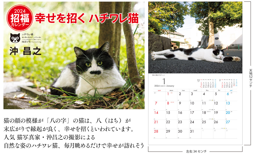 Amazon.co.jp: 2024 猫カレンダー 幸せを招く ハチワレ 沖昌之（月