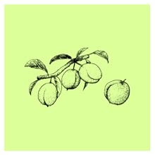 Small manufacture image 9