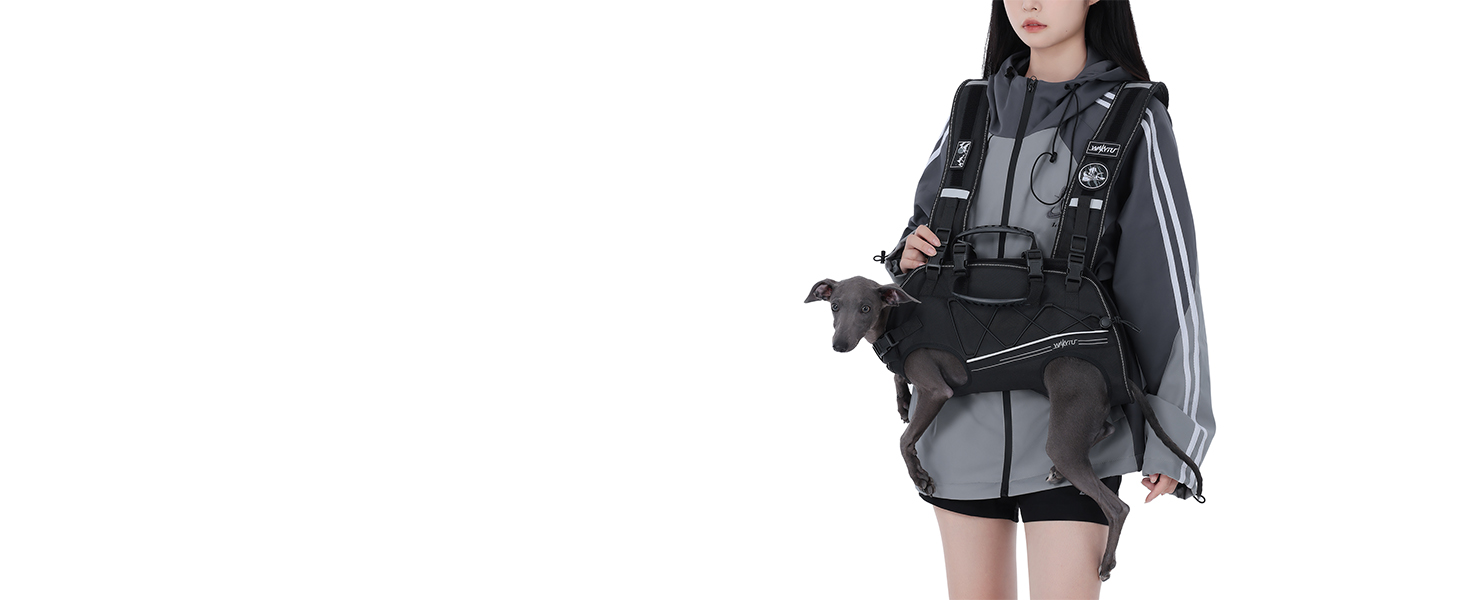 dog carrier