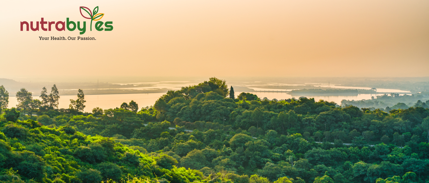 Text reads 'nutrabytes'. Panoramic aerial view of lush green forest canopy extending to horizon under blue sky.