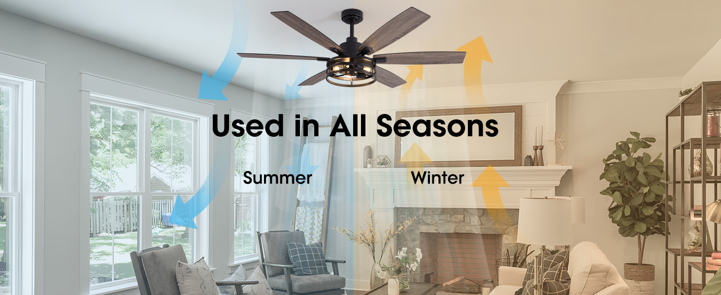 Smart Ceiling Fan