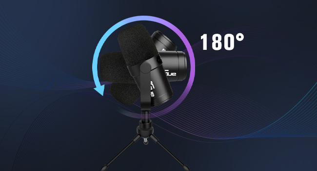 professionale USB/XLR Microfono