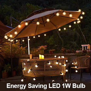 G40 clear LED string lights
