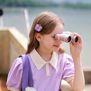 butterfly hair clips