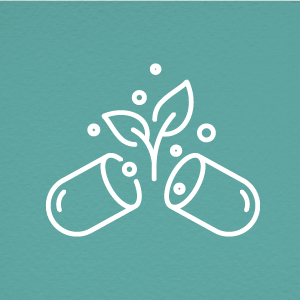 Liver Guard | Suplemento para Hígado