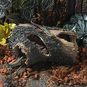 Realistic looking hide/decor