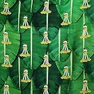 Photo BackDrop