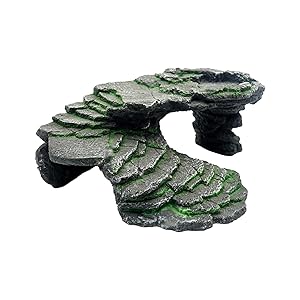 Amazon | Hyack レオパ シェルター 爬虫類 亀 陸地 隠れ家