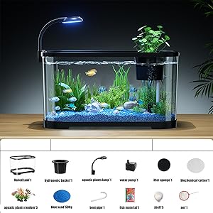 ★ペント様★ 飼育セット　飼育スターターキット 水槽2点】ショーベタ飼育スターターセット（横置き仕様＆ベタ