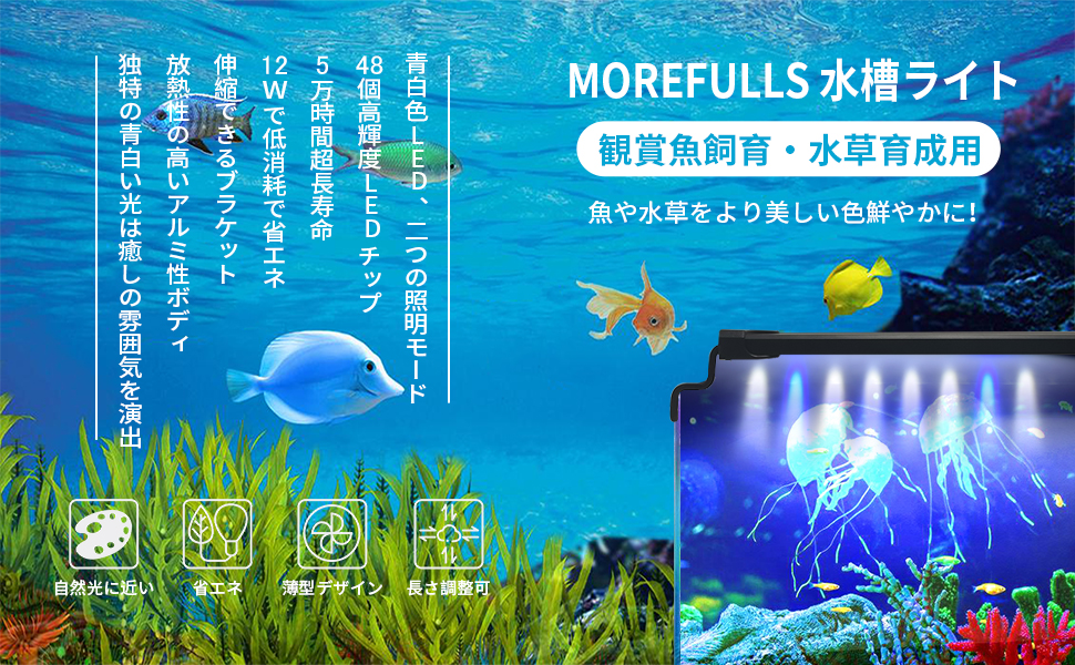 Amazon Co Jp Morefulls 水槽ライト Led 水槽照明 50 80cm アクアリウムライト 熱帯魚 2色 青 白 観賞魚飼育 水草育成 防水 調節可能 淡水 海水両用 省エネ 2つの照明モード ペット用品 Amazon Co Jp Morefulls 水槽ライト Led 水槽照明 50 80cm アクアリウムライト 熱帯魚 2色 青 白 観賞魚飼育 水草育成 防水 調節可能 淡水 海水両用 省エネ 2つの照明モード ペット用品
