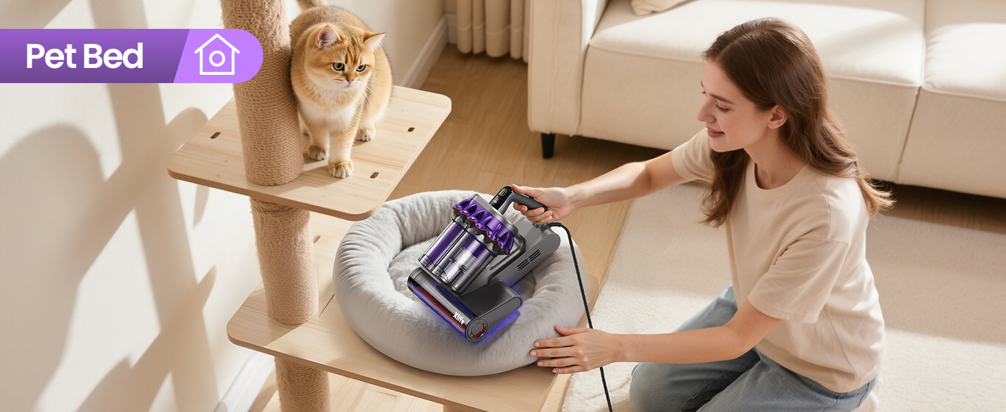 pet bed
