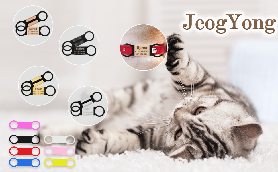 2 Pack SlideOn Pet ID Tag Dog Tags Engraved for Pets