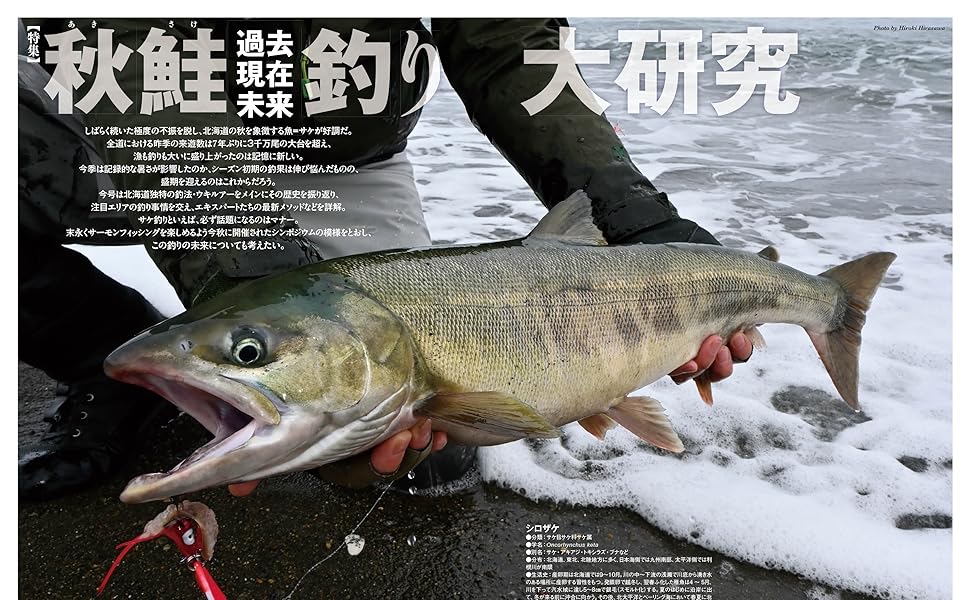 ノースアングラーズ　釣り 2545724_n.jpg