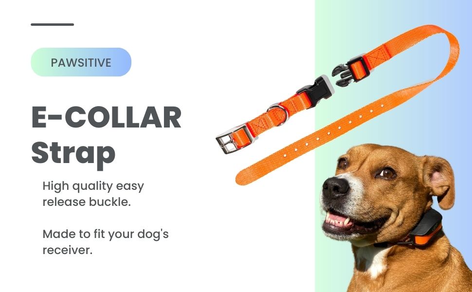 Pawsitive eCollar Replacement Strap Shock Collar
