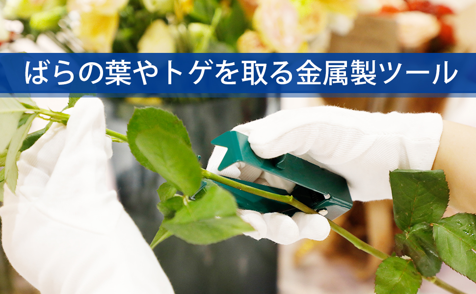 去除玫瑰叶和茎的金属制工具