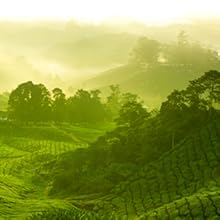 Small manufacture image 5