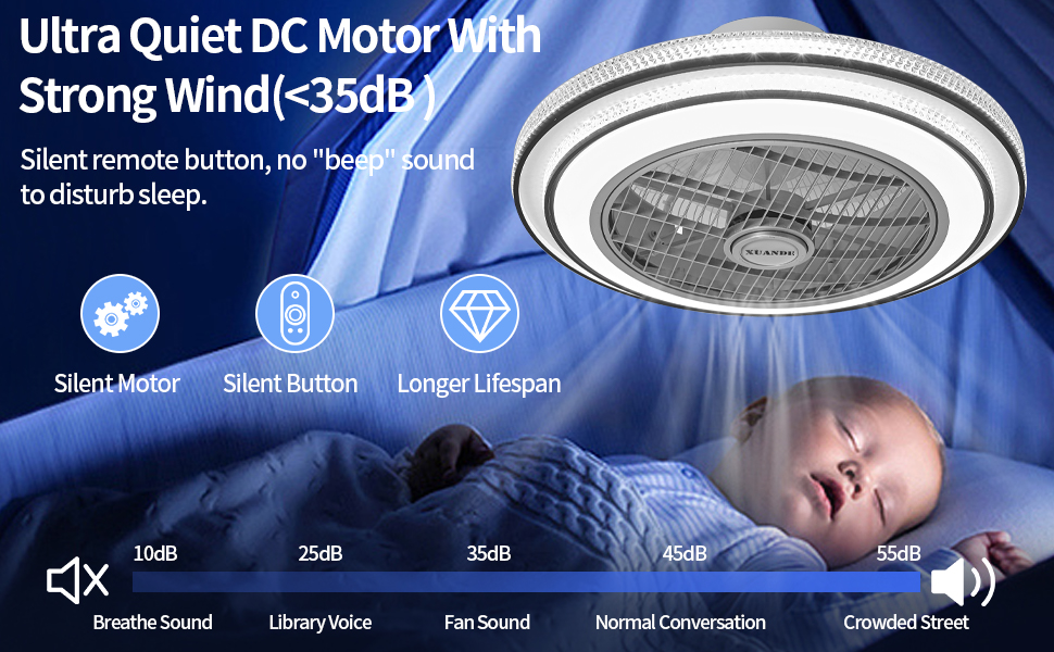 XuanDe Ceiling Fans with Lights and Remote Quiet, 20" Enclosed Modern