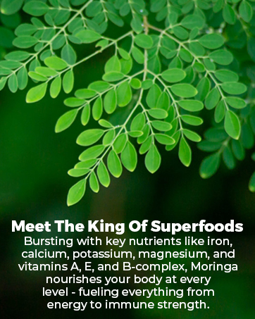 moringa capsules