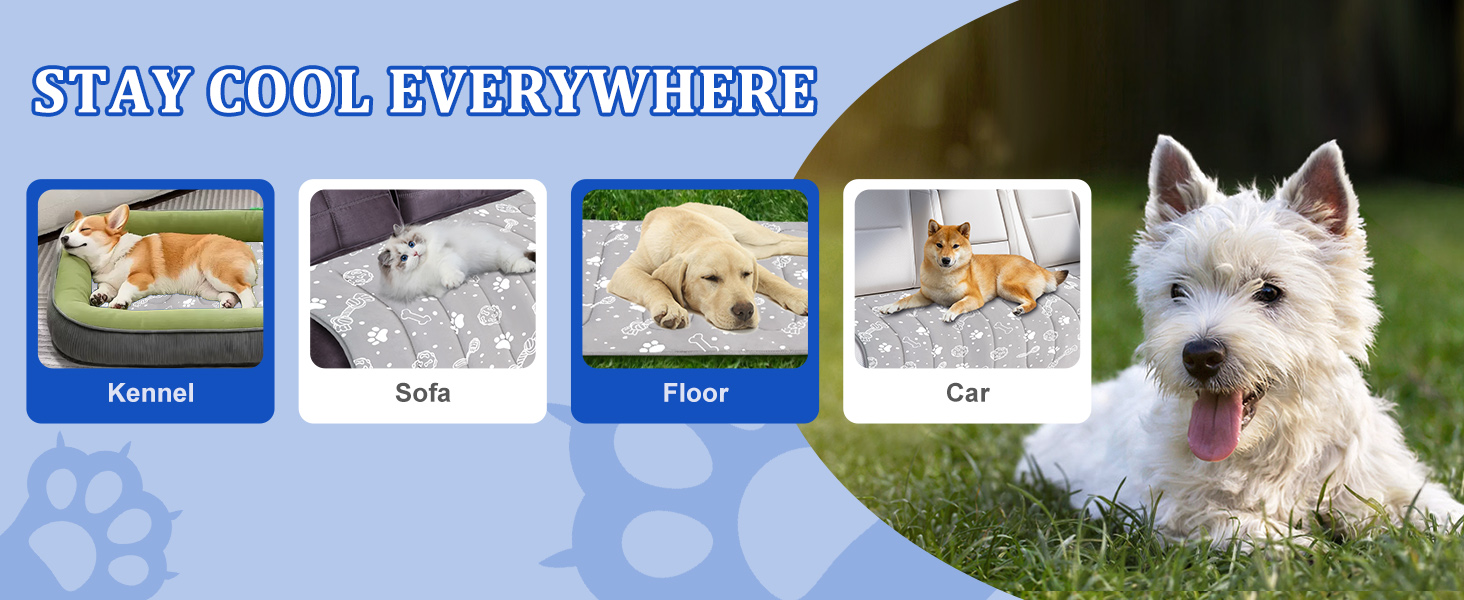 dog cooling mat