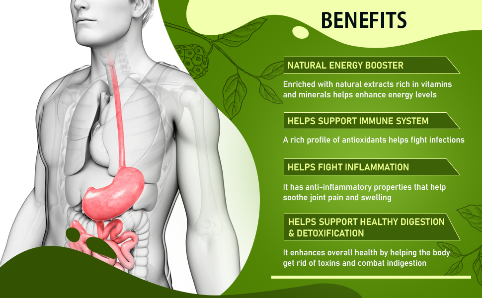 Pure Nutrition None Gold 400ml Noni Juice Natural Noni Juice Noni Juice with Aloe Vera