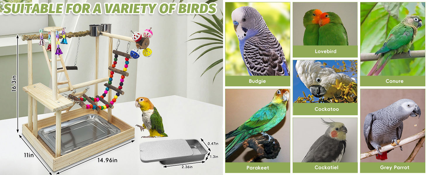 cockatiel playground