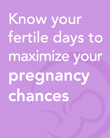 fertility lubricant conceive