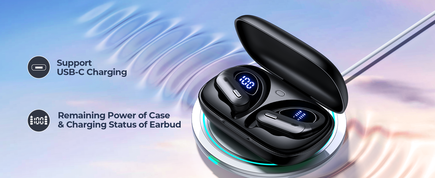 USB-C Charging ear buds