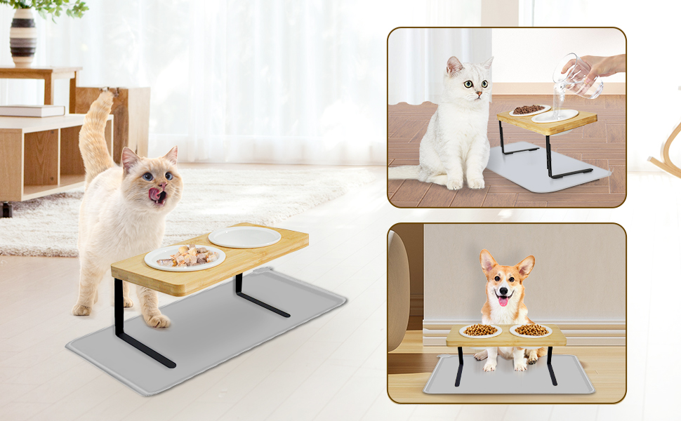 Anti Vomiting Elevated Cat Bowls