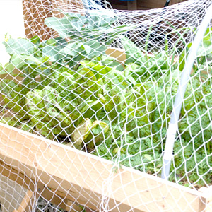 Small manufacture image 6