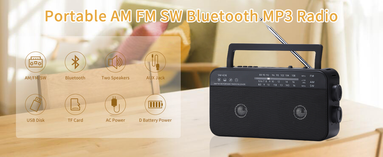 AM FM SW RADIO