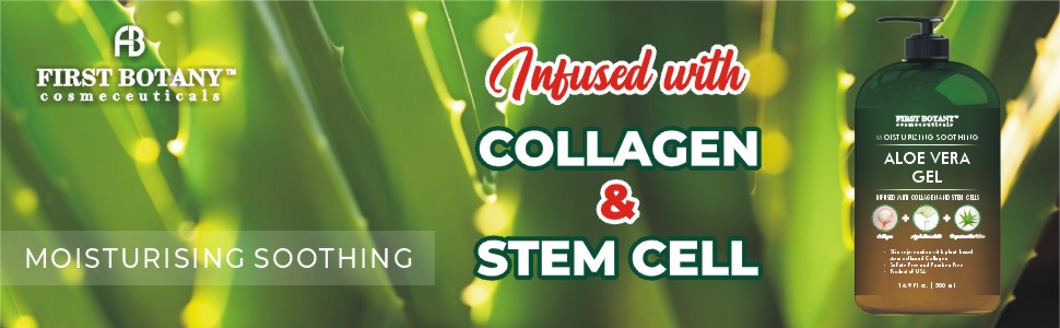 Stem Cells Collagen