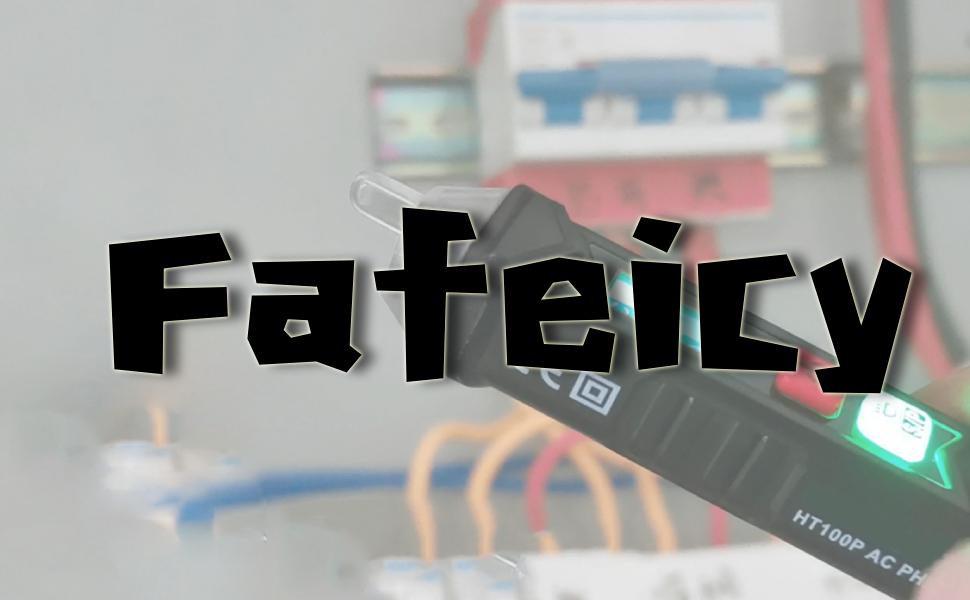 Non Voltage Tester Dual Range Circuit Tester Pen with LED Flashlight