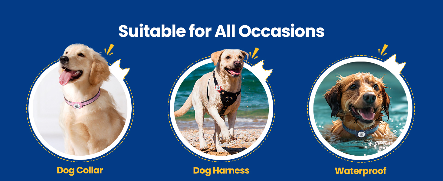 dog airtag holder