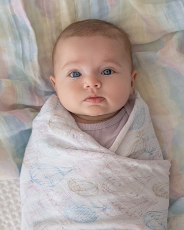 KK　DREAM!ingブランケット1.2.3.4部セット Amazon | aden + anais(エイデンアンドアネイ) ブランケット