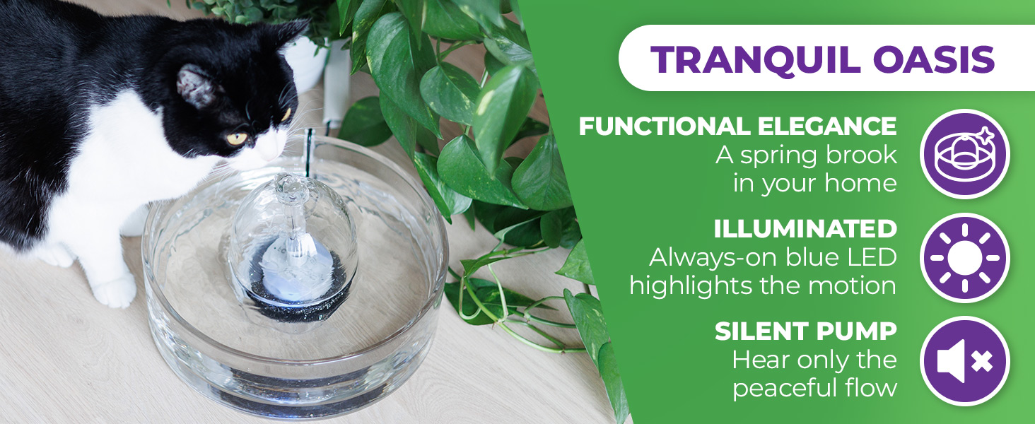 Cat fountain glass and dog fountain glass automatic cat water dispenser pet fountain