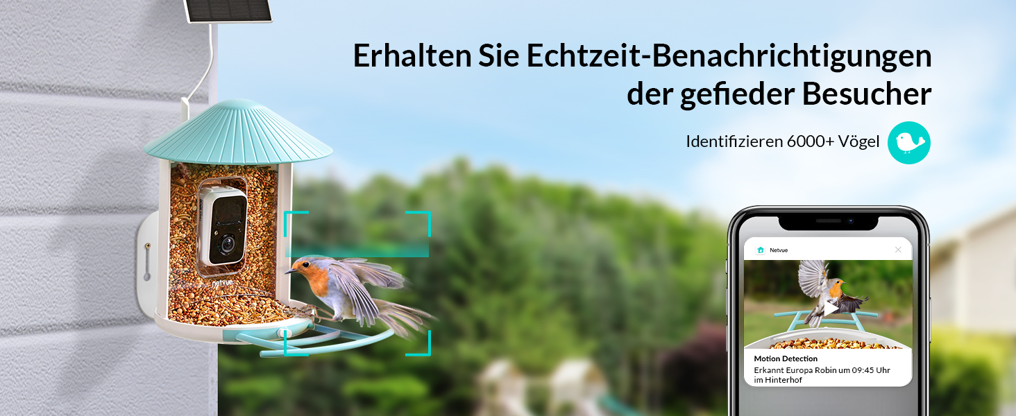 vogelihaus kamera