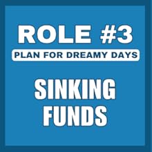 blue background box with white text stating that sinking funds is the third role of money