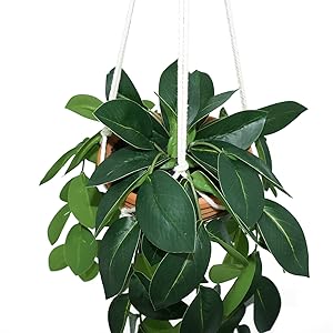 artificial hanging baskets