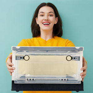 hedgehogs breeding box