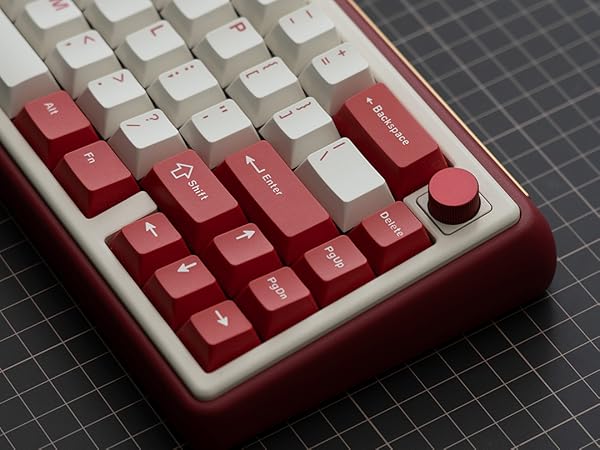 Amazon.com: OOCTPK Chilkey Foxy65 Mechanical Keyboard with