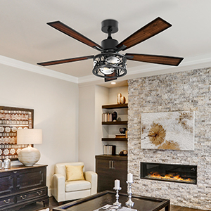 ceiling fan