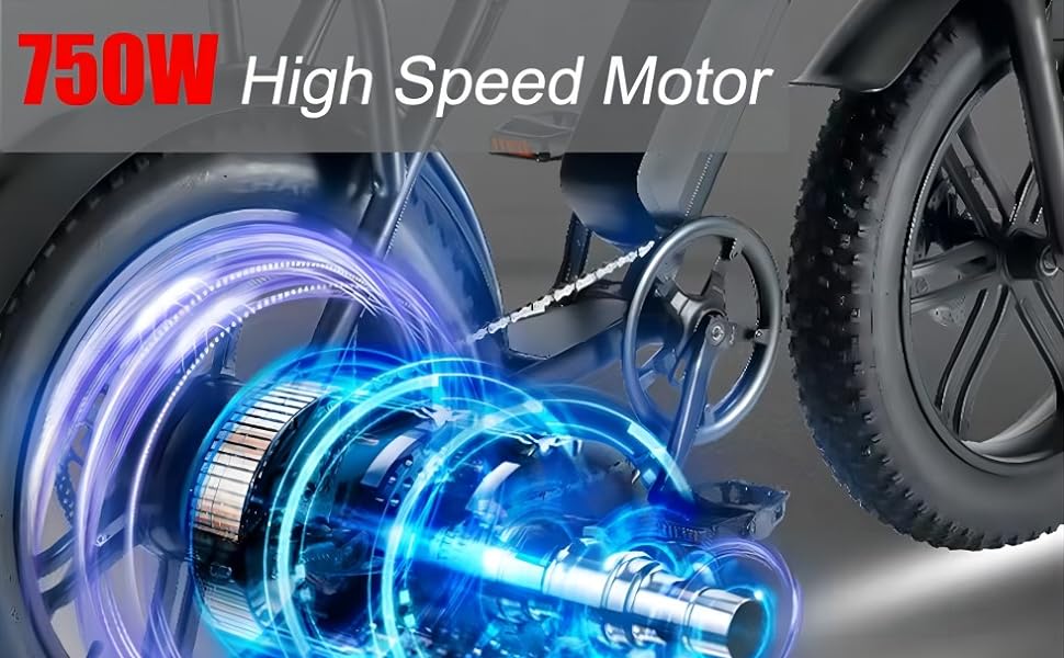Electric Bike Adults